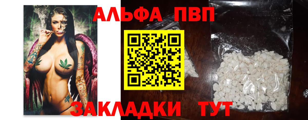A-PVP СК КРИС Горно-Алтайск