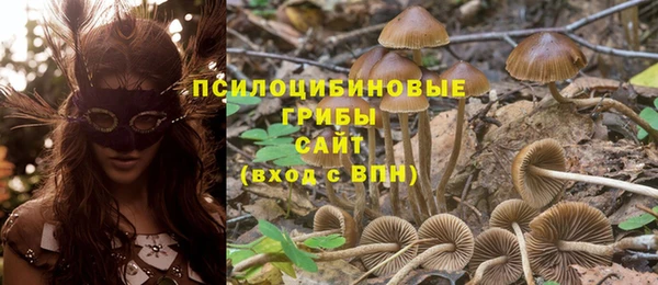 не бодяженный Зеленокумск