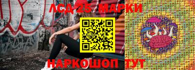 МДПВ Беслан