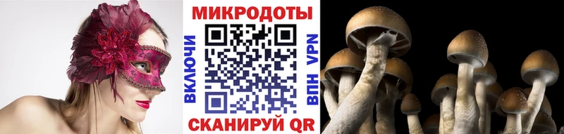 Псилоцибиновые грибы ЛСД  Горно-Алтайск 